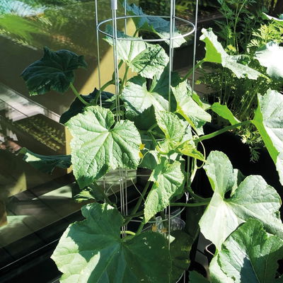 Gurkenturm, verzinkt, H120 x Ø20 cm