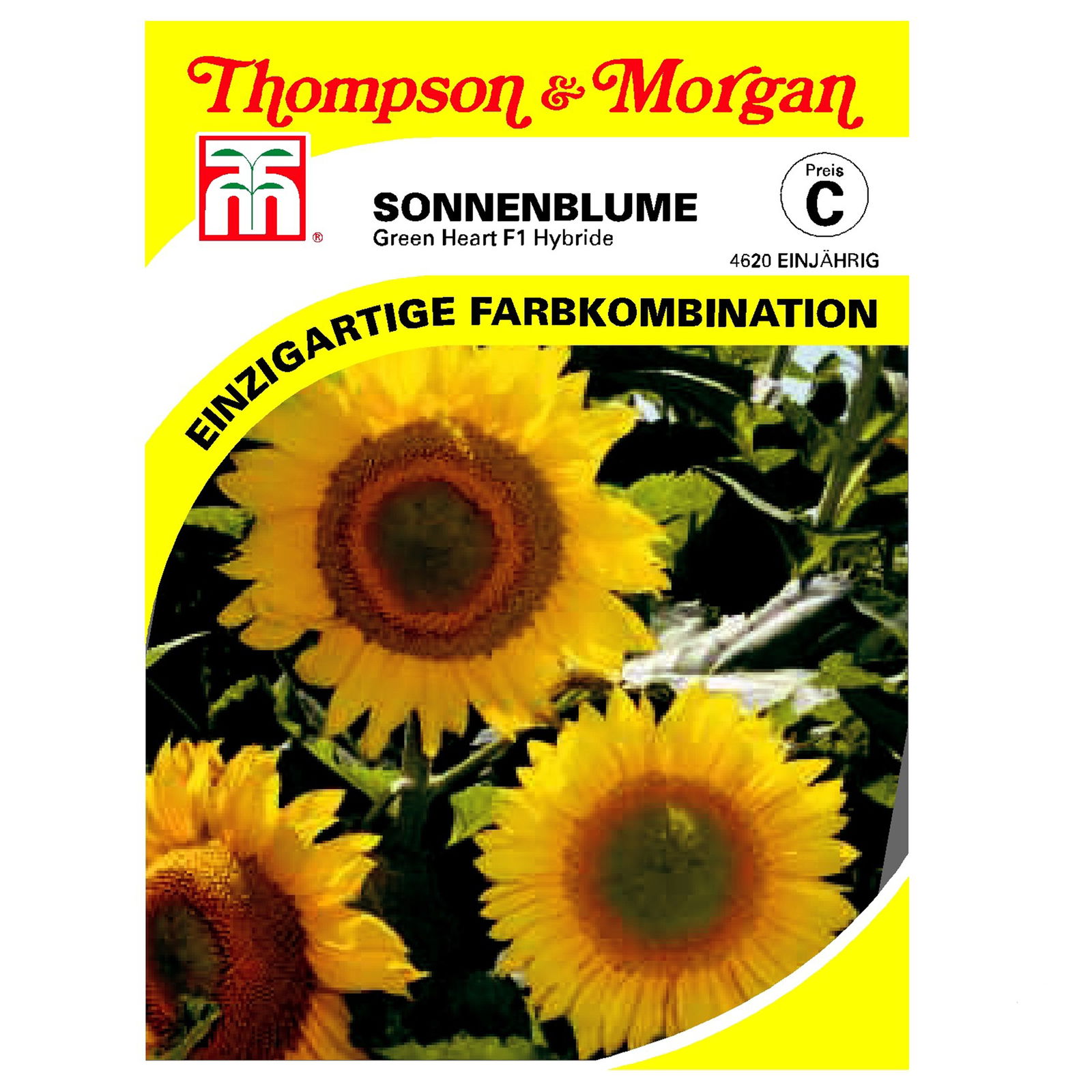 Thompson & Morgan Sonnenblume 'Green Heart' F1 Hybride