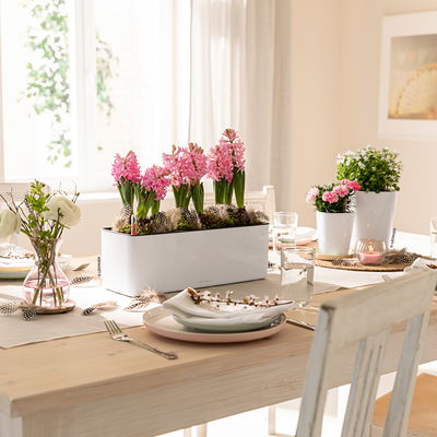 Lechuza 'Cube Glossy Triple', weiß highgloss, ca. 14 x 40 x H 13,5 cm