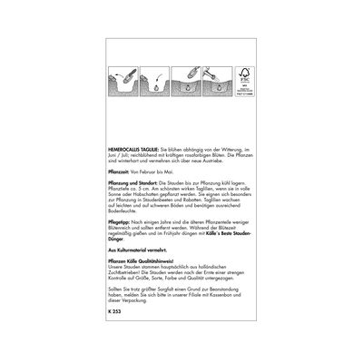 Taglilie Entrapment, 2 Blumenzwiebeln Taglilie Entrapment, 2 Blumenzwiebeln