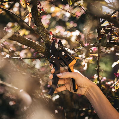 Gartenschere 'Amboss'