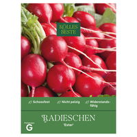 Kölles Beste Saatgut Radieschen 'Ester', rot