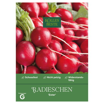 Kölles Beste Saatgut Radieschen 'Ester', rot
