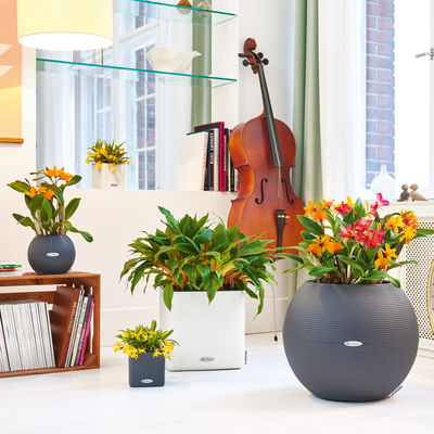 Lechuza 'Puro Color 50', schiefergrau, ca. Ø 50 x H 39 cm Lechuza 'Puro Color 50', schiefergrau, ca. Ø 50 x H 39 cm