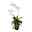 Kunstpflanze Orchideen & Farn Arrangement, Topf-Ø 10 cm, Höhe ca. 57 cm