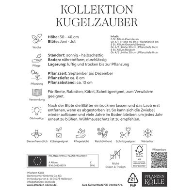 Allium-Mischung Kollektion 'Kugelzauber', blau, weiß, rosa, 35 Blumenzwiebeln Allium-Mischung Kollektion 'Kugelzauber', blau, weiß, rosa, 35 Blumenzwiebeln