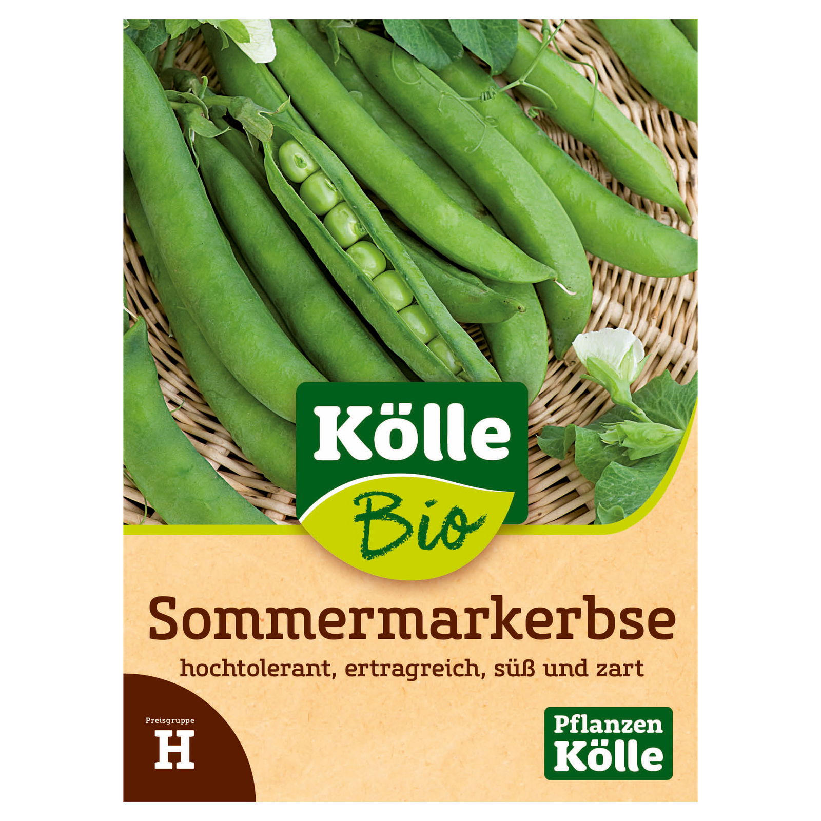 Kölle Bio Saatgut Sommer-Markerbse 'Karina', grün
