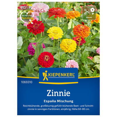 Blumensamen, Zinnie 'Espana', gelb, rot & orange
