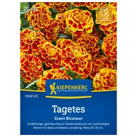 Kiepenkerl Saatgut Studentenblume 'Giant Bicolour'