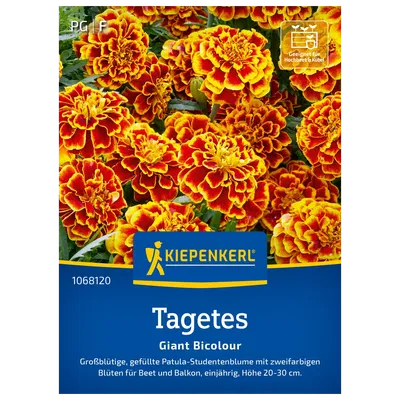 Kiepenkerl Saatgut Studentenblume 'Giant Bicolour' Kiepenkerl Saatgut Studentenblume 'Giant Bicolour'