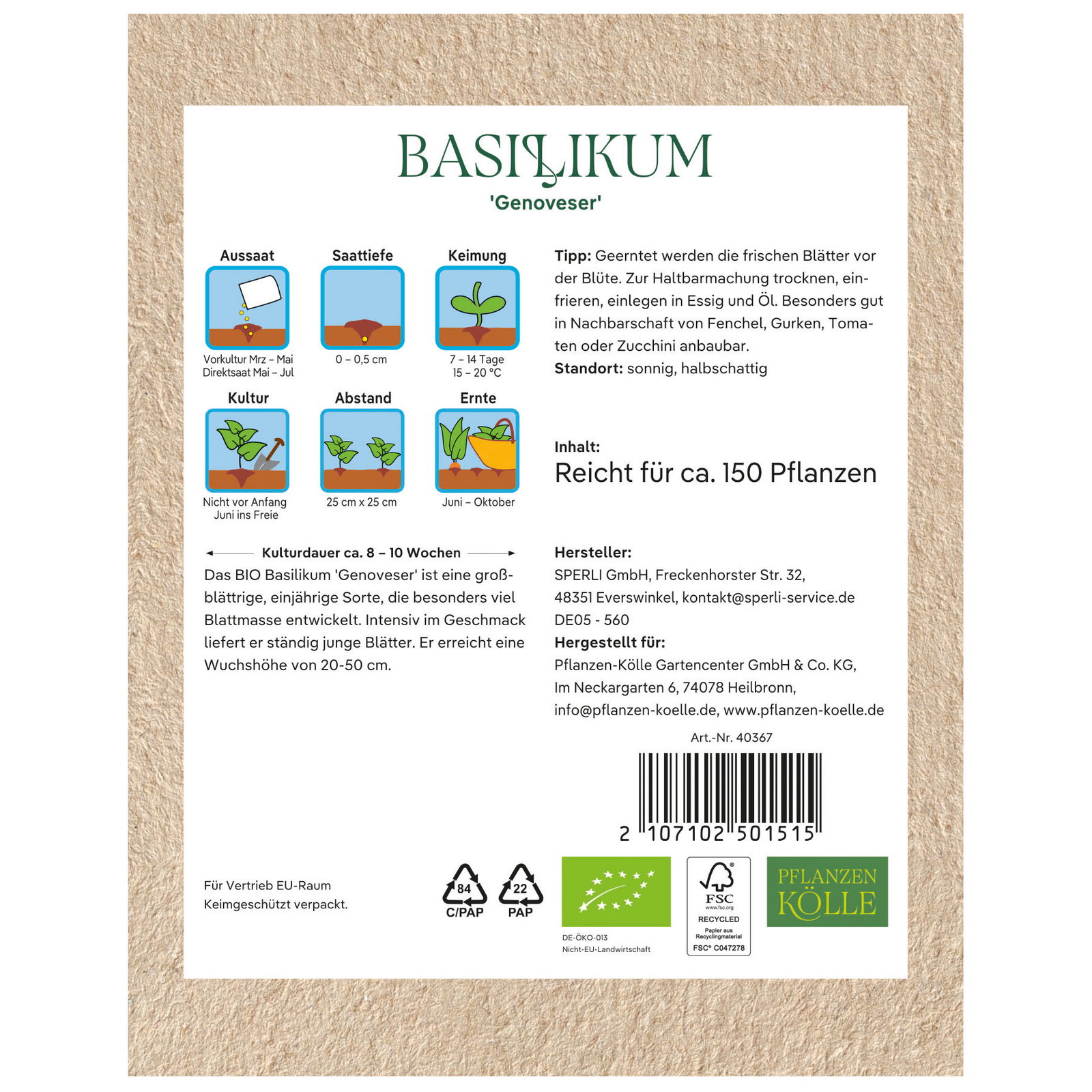 Bio Basilikum 'Genoveser' Bio Basilikum 'Genoveser'