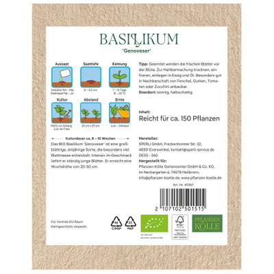 Bio Basilikum 'Genoveser' Bio Basilikum 'Genoveser'