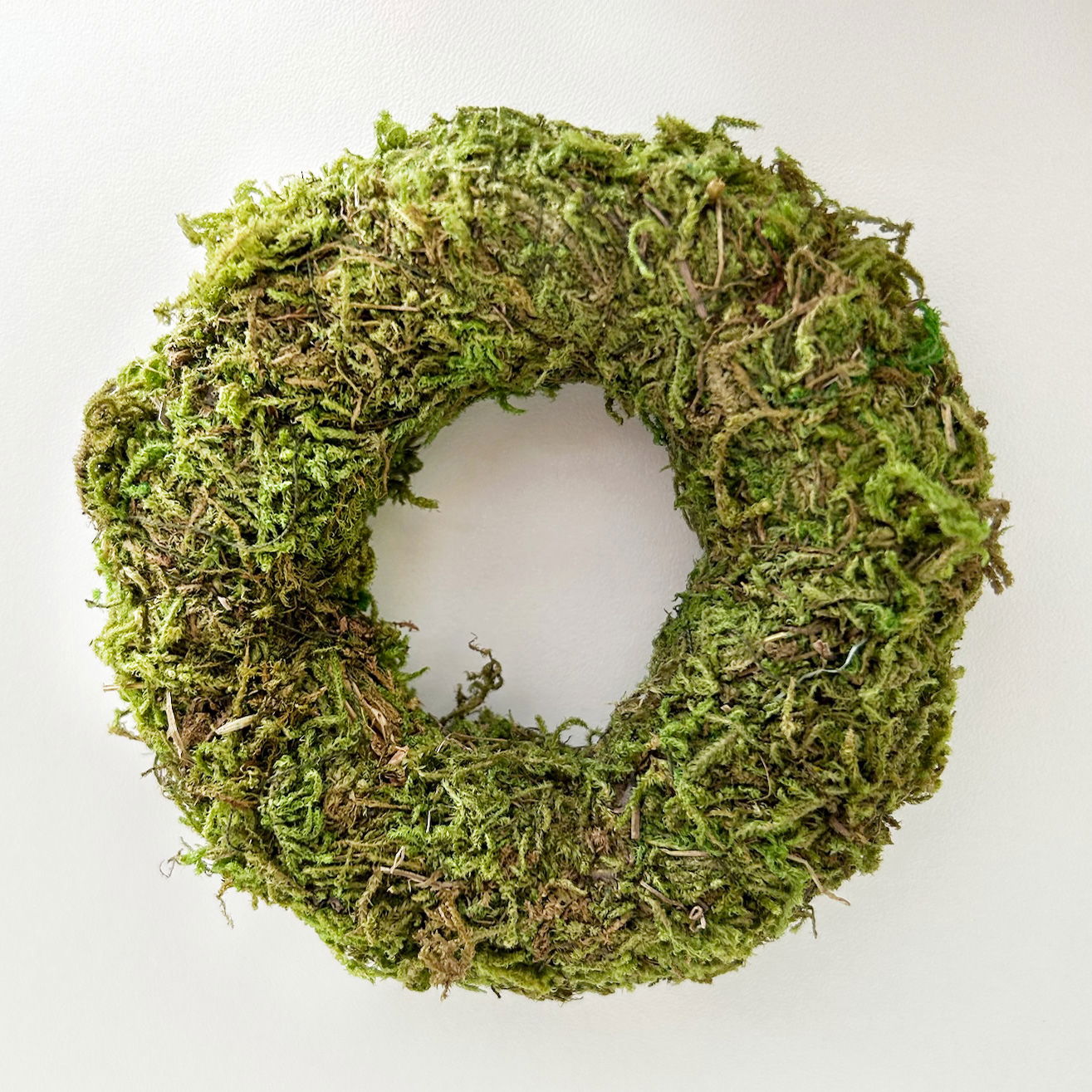 Asiamoos-Kranz, grün, Ø ca. 10 cm, 10 Stück