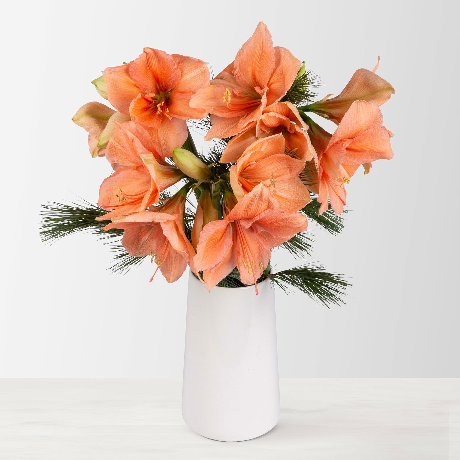 Schnittblumen-Mix aus 3 lachsfarbenen Amaryllis & 3 Seidenkiefer