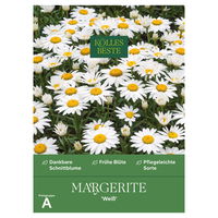 Kölles Beste Blumensamen, Margerite 'Weiß'