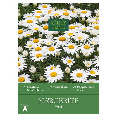 Kölles Beste Blumensamen, Margerite 'Weiß'