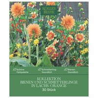 Kölles Beste Kollektion Bienen & Schmetterlinge Mischung, 30 Blumenknollen