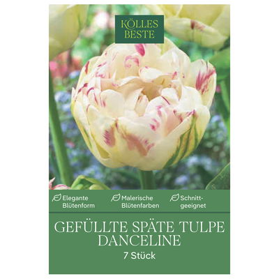 Gefüllte späte Tulpen 'Danceline', rosa-weiß geflammt, 7 Blumenzwiebeln