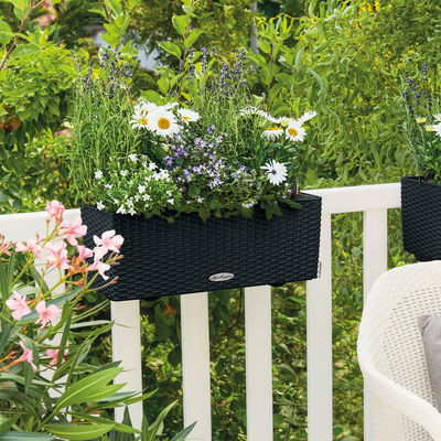 Lechuza 'Balconera Cottage 50', graphit schwarz, ca. 50 x 19 x H 19 cm