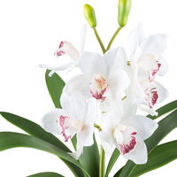 Kunstpflanze Cymbidium, weiß, Höhe ca. 53 cm