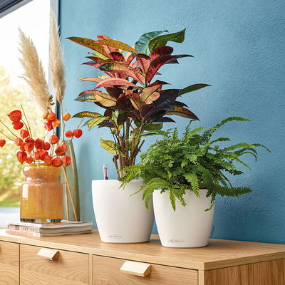 Lechuza 'Classico Color 18', weiß, ca. Ø 19 x H 17 cm