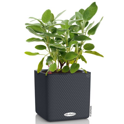 Lechuza 'Cube Color 16', schiefergrau, ca. 17 x 17 x H 16 cm