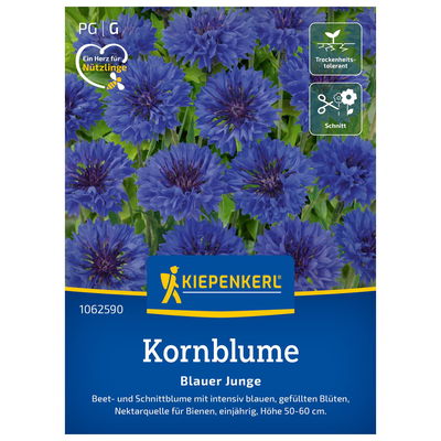 Blumensamen, Kornblume 'Blauer Junge', blau
