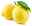 Zitruspflanzen Zitrone