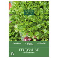 Kölles Beste Gemüsesamen Feldsalat 