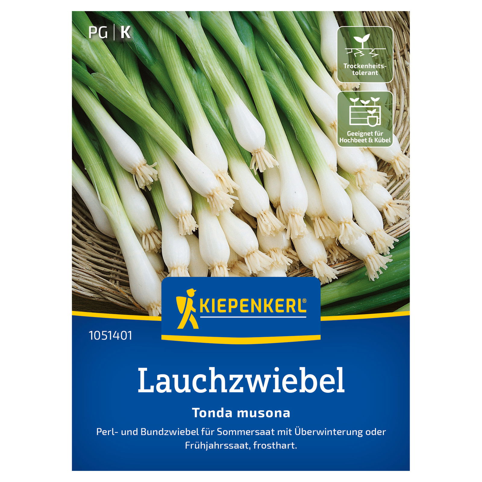 Kiepenkerl Saatgut Lauchzwiebeln 'Tonda musona', grün