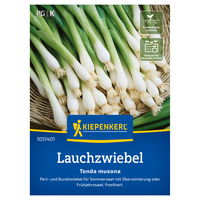 Kiepenkerl Saatgut Lauchzwiebeln 'Tonda musona', grün