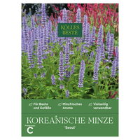 Kölles Beste Kräutersamen, Koreanische Minze 'Seoul'