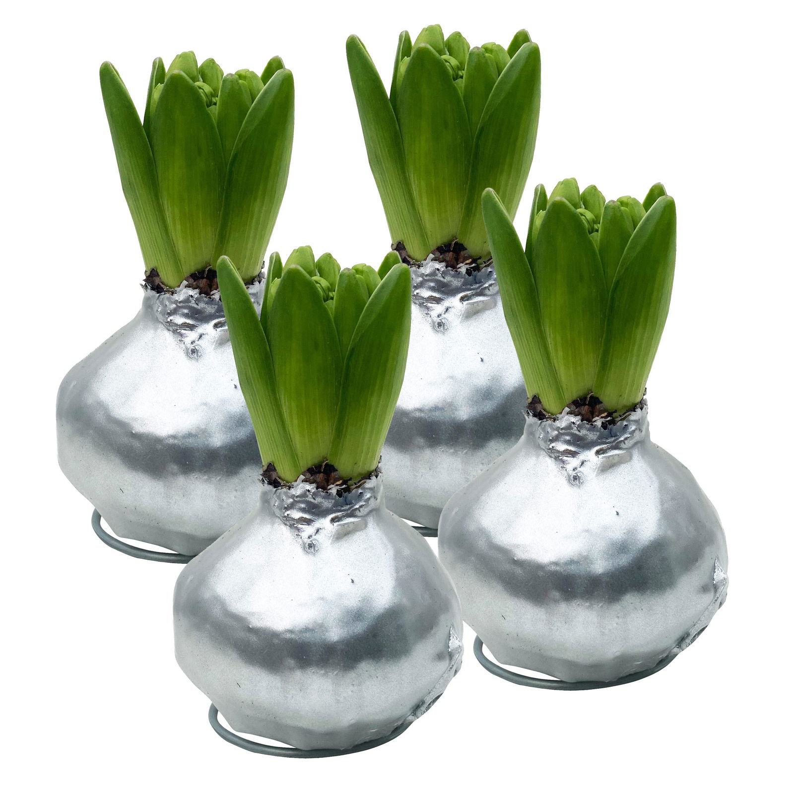 Hyazinthe in Wachs silber metallic, 4er-Set