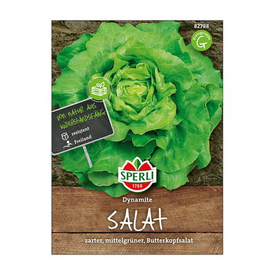 Gemüsesamen, Kopfsalat 'Dynamite'