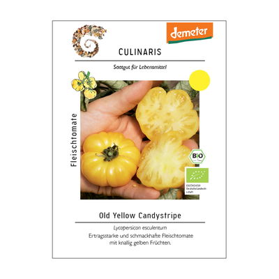 Tomatensamen, Fleischtomate 'Old Yellow Candystripe' Tomatensamen, Fleischtomate 'Old Yellow Candystripe'