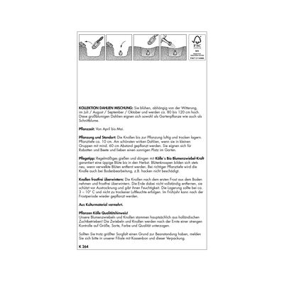 Dahlien-Überraschungsmischung, 10 Blumenknollen