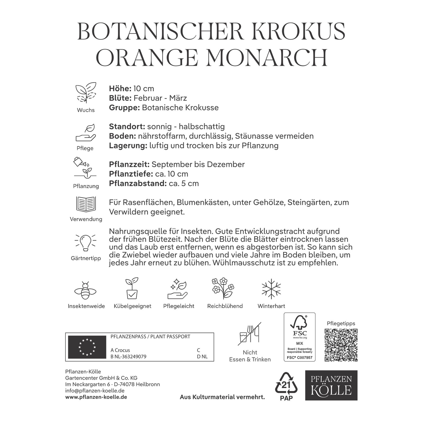 Kölles Beste Botanische Krokusse 'Orange Monarch' orange, 10 Blumenzwiebeln Kölles Beste Botanische Krokusse 'Orange Monarch' orange, 10 Blumenzwiebeln