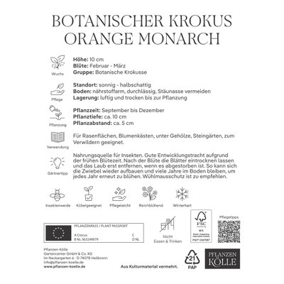 Kölles Beste Botanische Krokusse 'Orange Monarch' orange, 10 Blumenzwiebeln Kölles Beste Botanische Krokusse 'Orange Monarch' orange, 10 Blumenzwiebeln