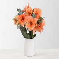 Schnittblumen-Mix aus 3 lachsfarbenen Amaryllis & 3 Eukalyptus