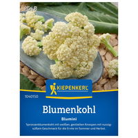 Gemüsesamen, Sprossenblumenkohl 'Blumini'