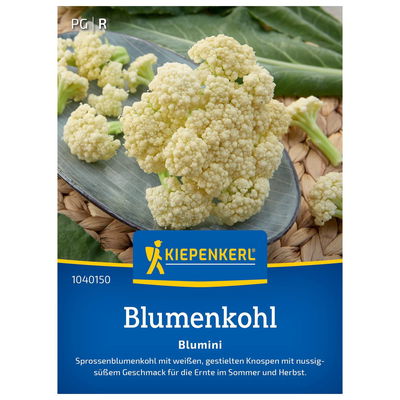 Gemüsesamen, Sprossenblumenkohl 'Blumini'