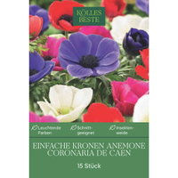 Kölles Beste Anemone 'Coronaria De Caen®', 15 Blumenzwiebeln Kölles Beste Anemone 'Coronaria De Caen®', 15 Blumenzwiebeln