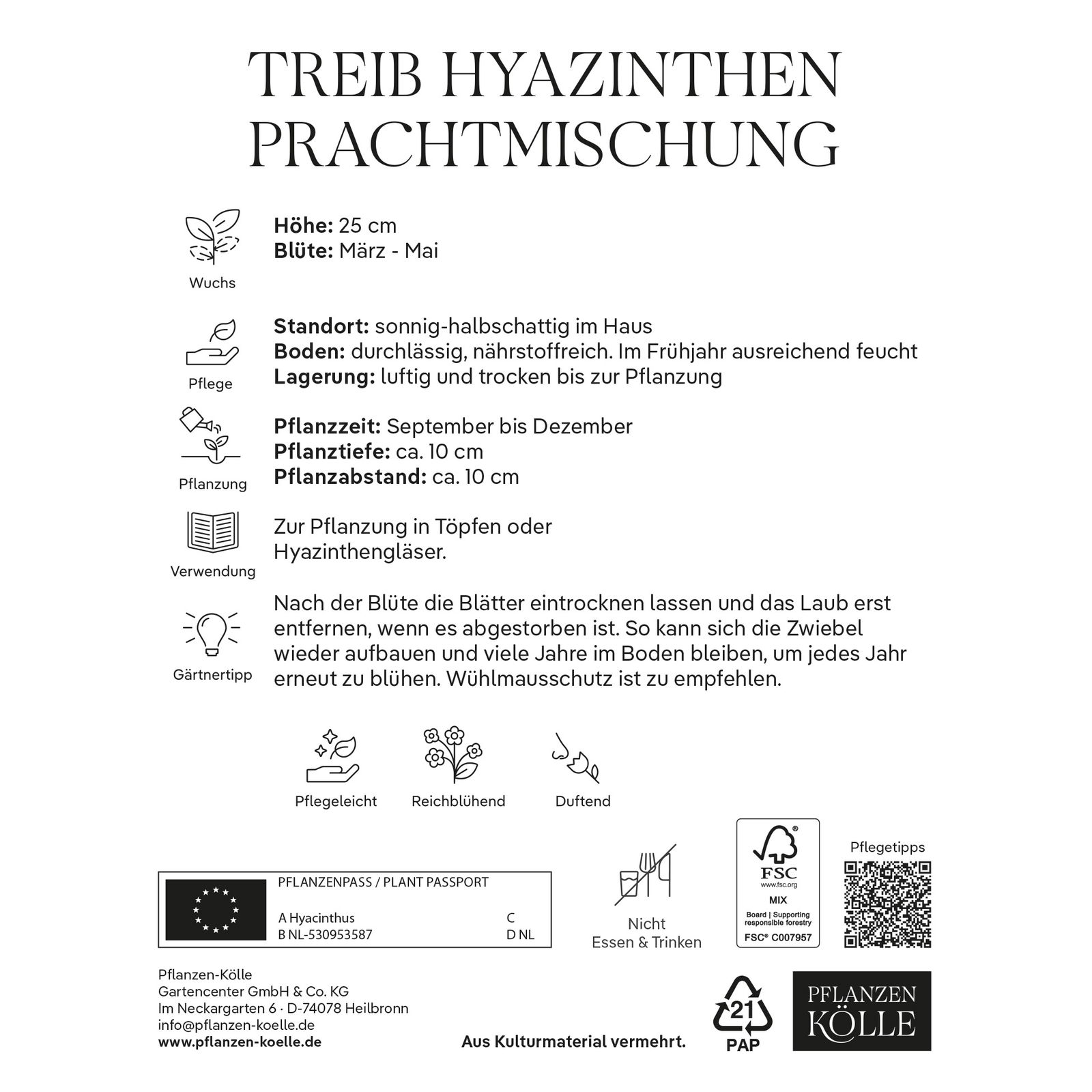 Treib-Hyazinthen 'Prachtmischung', Farbmix, 3 Blumenzwiebeln