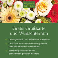 Schnittblumen-Mix aus Protea, Seidenkiefer & Baumwolle