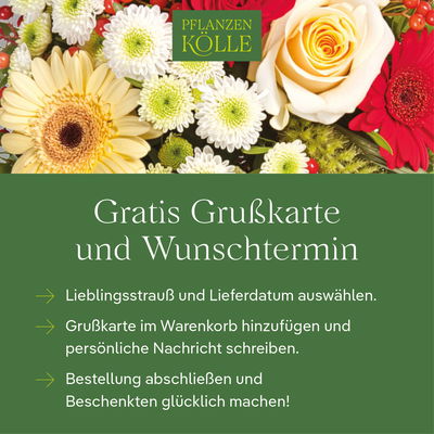 Schnittblumen-Mix aus 30 Tulpen in lila, pink & orange mit Heidelbeere Schnittblumen-Mix aus 30 Tulpen in lila, pink & orange mit Heidelbeere