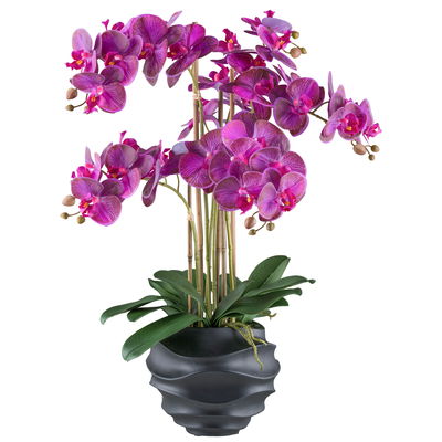Kunstpflanze Phalaenopsis, lila/schwarz, Höhe ca. 70 cm