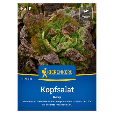 Saatgut, Kopfsalat 'Roxy' Saatgut, Kopfsalat 'Roxy'