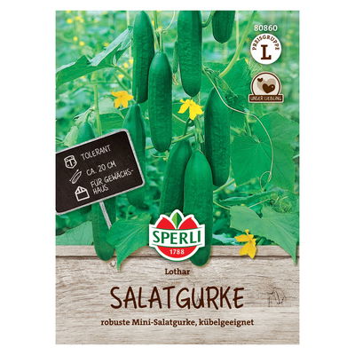 Saatgut Salatgurke 'Lothar' Saatgut Salatgurke 'Lothar'