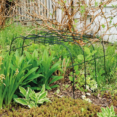 Bellissa Hortensienstütze 'ANNABELLE', 2er-Set, grün, H60 x L65 x L57 cm Bellissa Hortensienstütze 'ANNABELLE', 2er-Set, grün, H60 x L65 x L57 cm