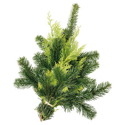 Tannenzweige im Handbund aus Nordmanntanne und Konifere/Zypresse, 6 Bund Tannenzweige im Handbund aus Nordmanntanne und Konifere/Zypresse, 6 Bund